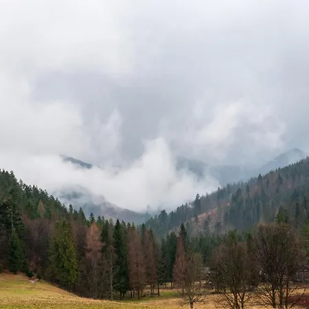 Homestay szállás Pod Nosalem Iii